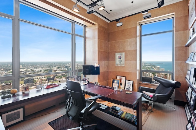 office space with a water view, a high ceiling, ornamental molding, and rail lighting