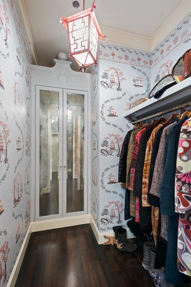 spacious closet with dark wood-type flooring and french doors