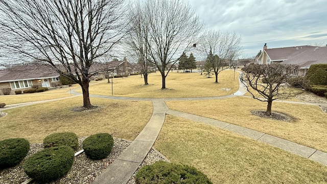 view of community with a yard