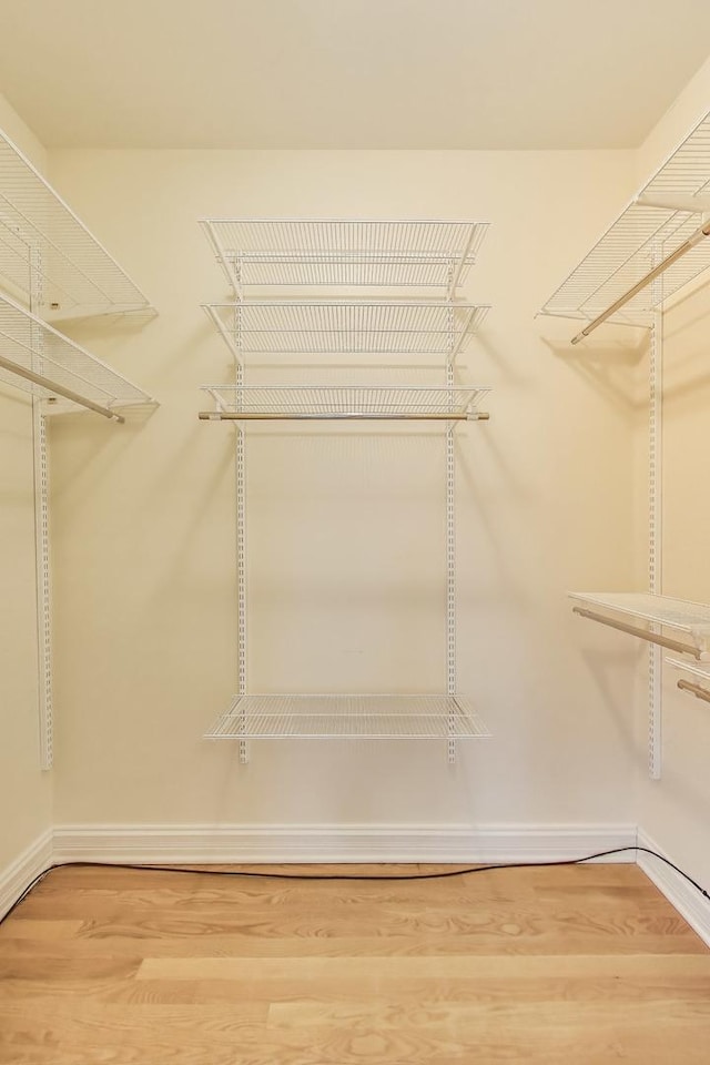 walk in closet with hardwood / wood-style flooring