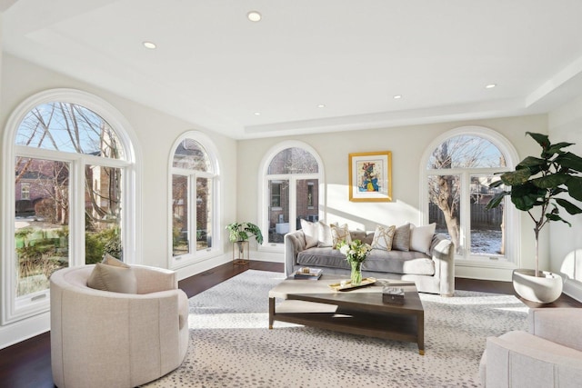 living room with wood-type flooring and a raised ceiling