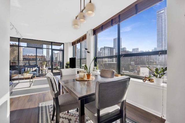 dining room with a wealth of natural light and hardwood / wood-style flooring