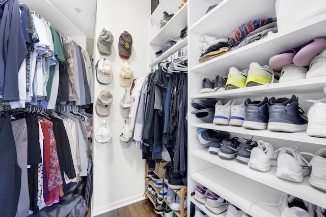 spacious closet featuring dark hardwood / wood-style flooring