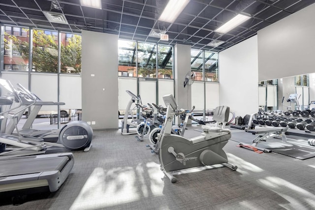 workout area featuring a wall of windows and carpet floors