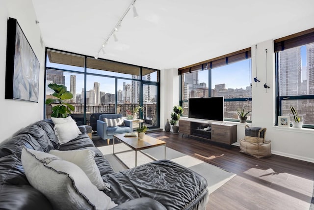 living room featuring a wall of windows, wood-type flooring, and rail lighting