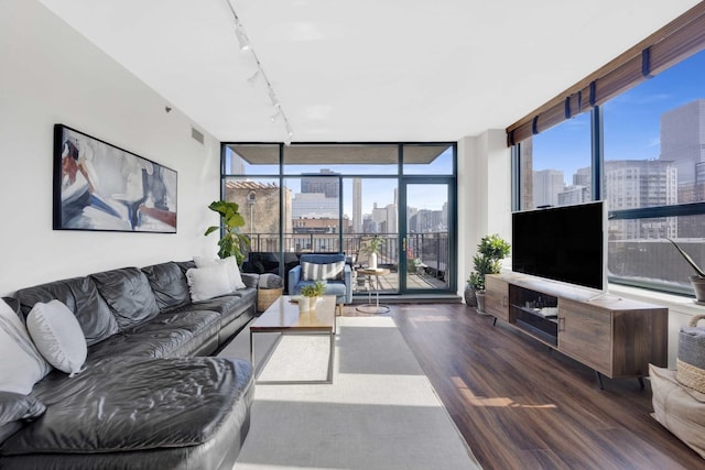 living room with dark hardwood / wood-style floors, a wealth of natural light, floor to ceiling windows, and rail lighting