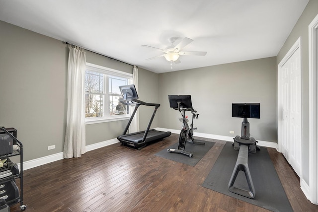 exercise room featuring ceiling fan and dark hardwood / wood-style flooring