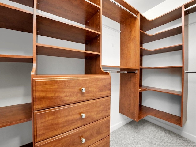 spacious closet with carpet floors