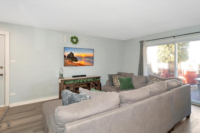 living room featuring wood-type flooring