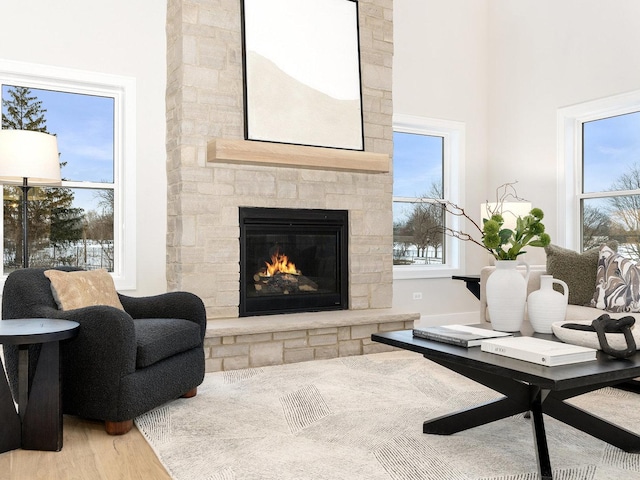 living room with wood-type flooring and a stone fireplace