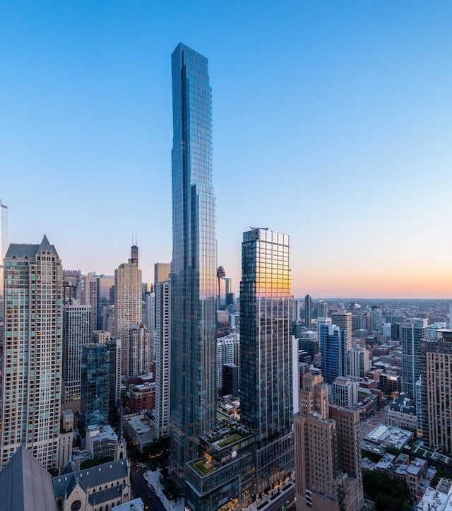 14 W Superior St Unit 6900, Chicago, IL 60654 - property's view of city