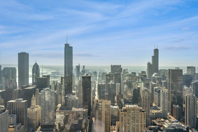 14 W Superior St Unit 6900, Chicago, IL 60654 - city view