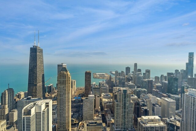14 W Superior St Unit 6900, Chicago, IL 60654 - city view featuring a water view