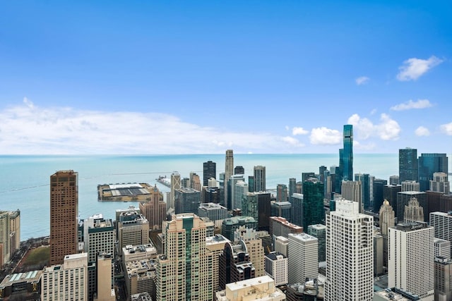 14 W Superior St Unit 6900, Chicago, IL 60654 - property's view of city featuring a water view