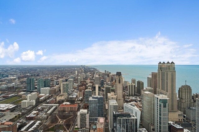 14 W Superior St Unit 6900, Chicago, IL 60654 - city view featuring a water view