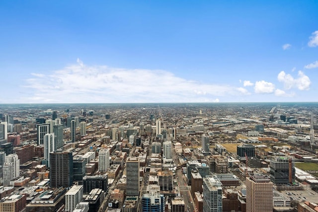 14 W Superior St Unit 6900, Chicago, IL 60654 - city view