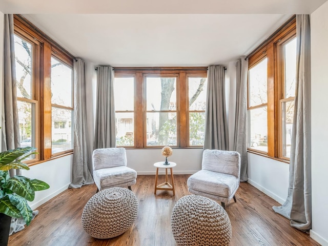 living area with plenty of natural light and wood-type flooring