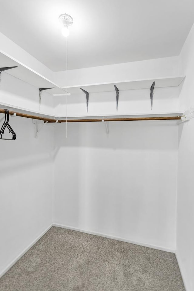 spacious closet with carpet flooring