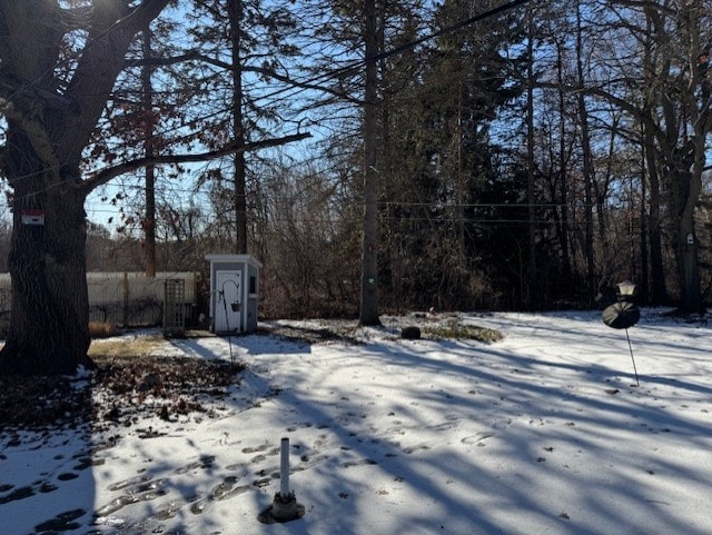 view of yard covered in snow