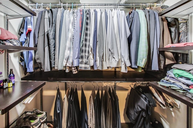 view of spacious closet