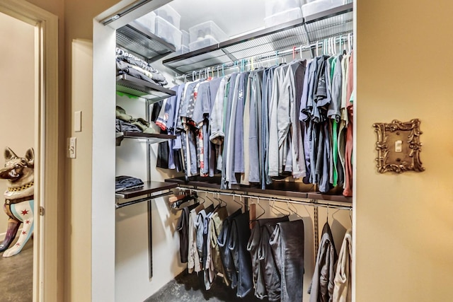 view of spacious closet