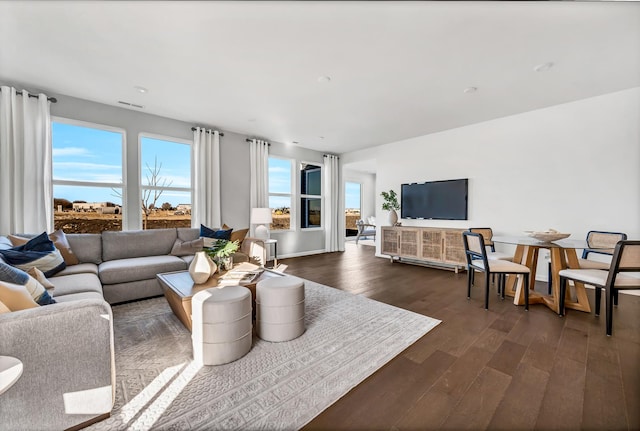 living room with dark hardwood / wood-style floors