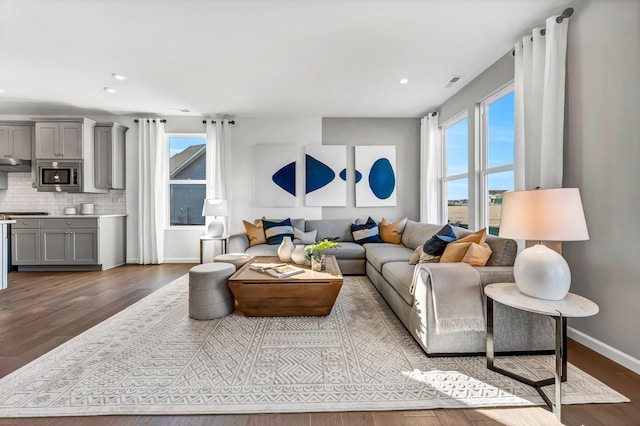 living room featuring dark wood-type flooring