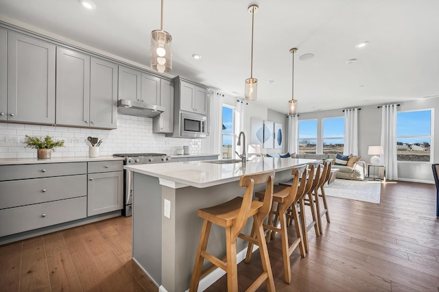 kitchen with gray cabinets, pendant lighting, a kitchen island with sink, appliances with stainless steel finishes, and a breakfast bar area