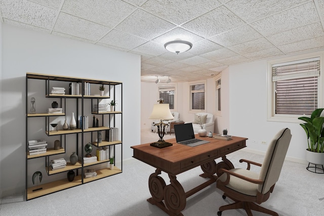 office area featuring a drop ceiling and carpet flooring