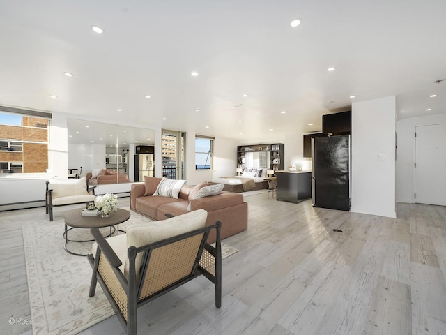 living room featuring light hardwood / wood-style flooring