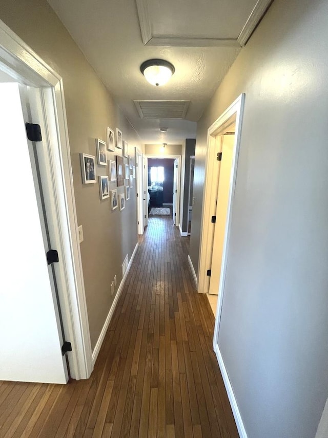 corridor featuring dark hardwood / wood-style floors