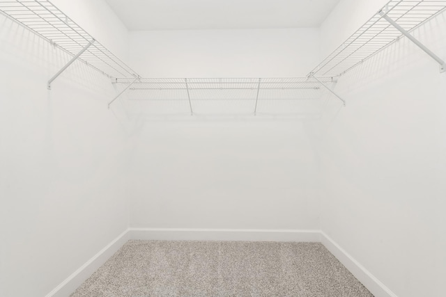 spacious closet with carpet