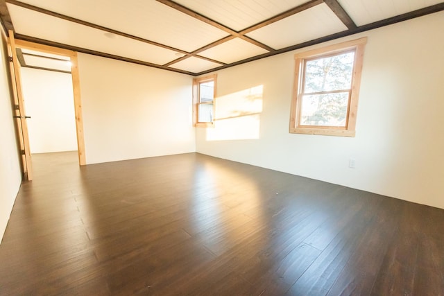 unfurnished room with dark hardwood / wood-style floors