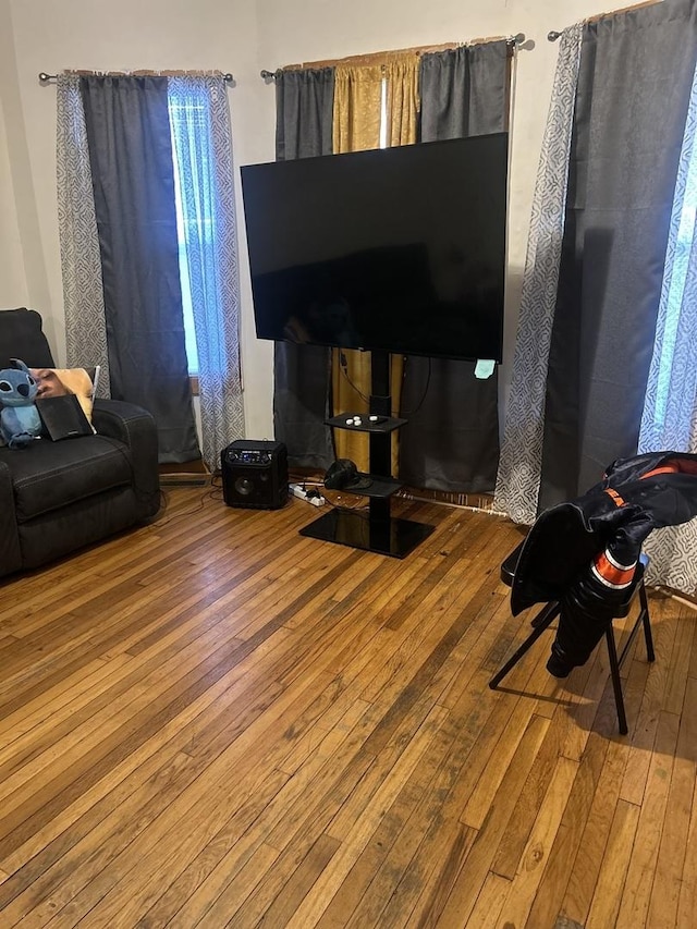 living room with hardwood / wood-style floors