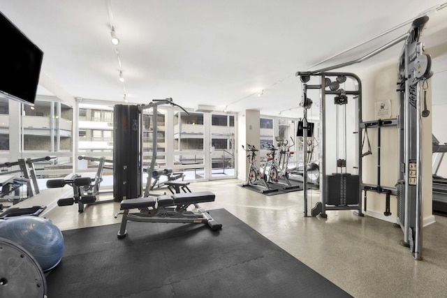 workout area featuring rail lighting and expansive windows