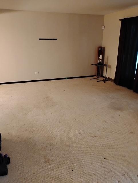 unfurnished room with light carpet