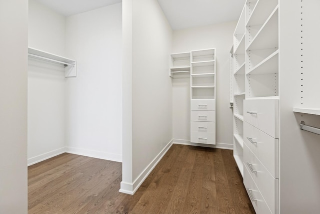 spacious closet featuring dark wood finished floors