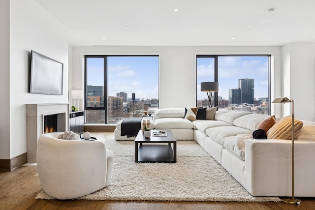 living room with a lit fireplace, plenty of natural light, wood finished floors, and a city view