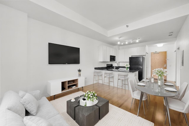 living room featuring hardwood / wood-style flooring and sink