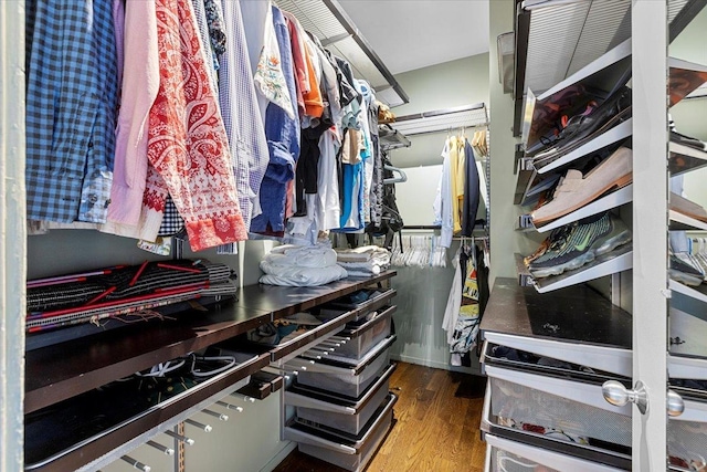 spacious closet with hardwood / wood-style flooring