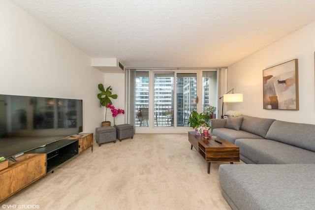 carpeted living room with a textured ceiling and a wall of windows