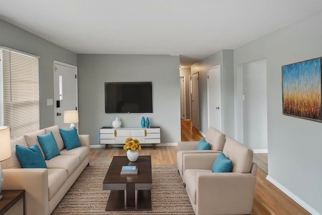 living room featuring light hardwood / wood-style floors