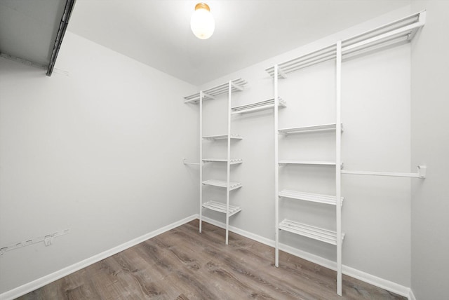 walk in closet with wood-type flooring