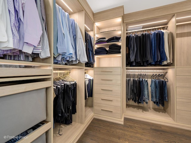 walk in closet with dark hardwood / wood-style floors