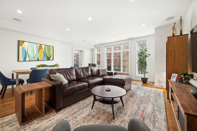 living room with light hardwood / wood-style floors