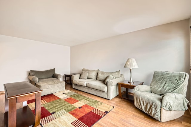 living room with light wood-type flooring