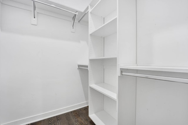 walk in closet featuring dark hardwood / wood-style floors