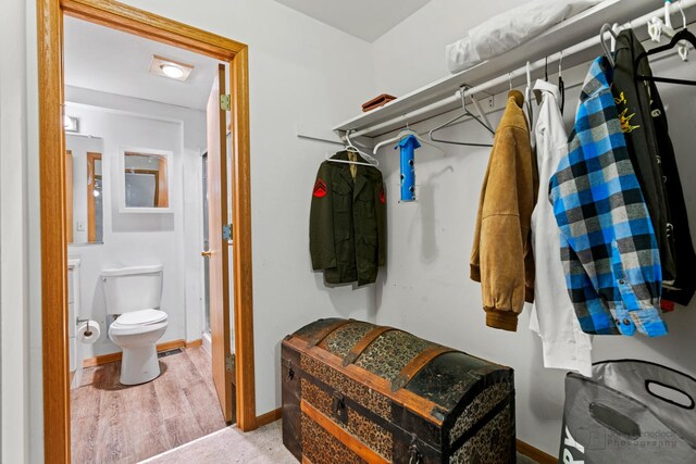 walk in closet with wood-type flooring