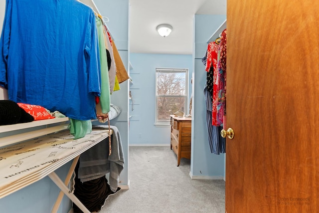 walk in closet with carpet floors