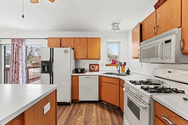 kitchen featuring sink, white appliances, dark wood-type flooring, and a healthy amount of sunlight